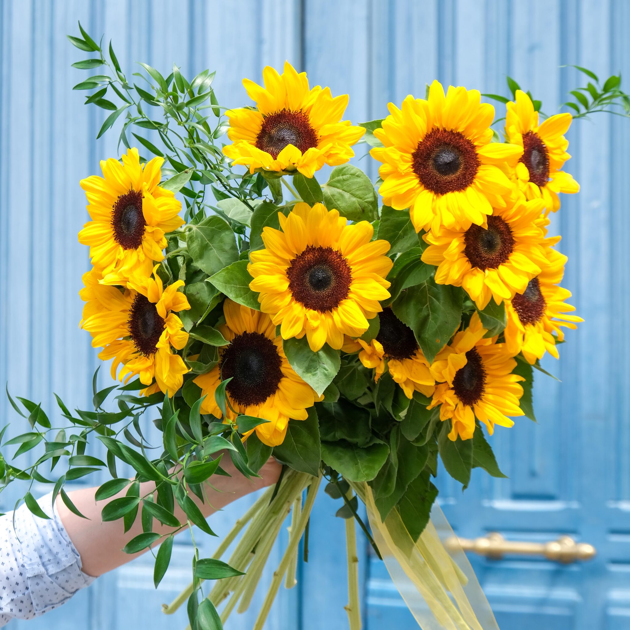 bouquet du mois tournesol