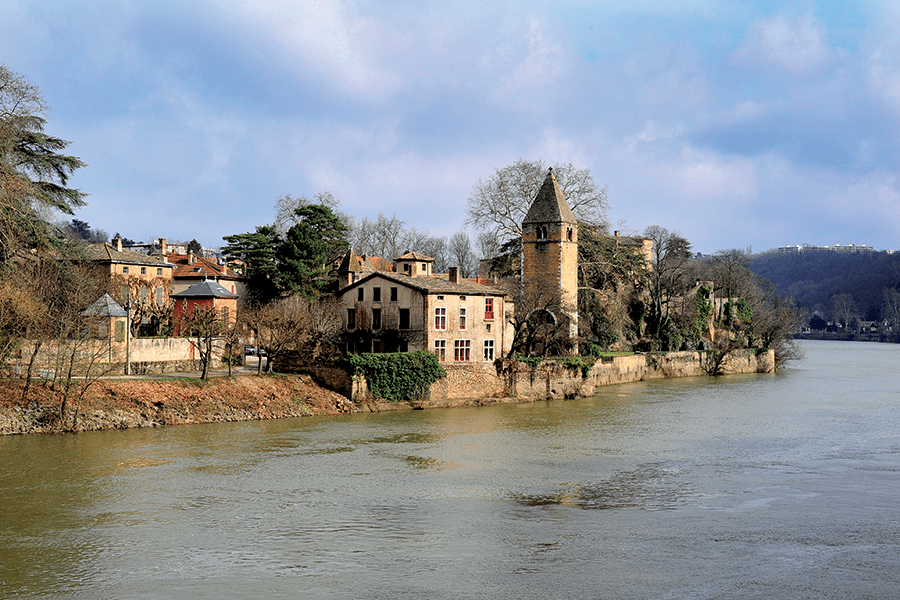 Livraison de fleurs Lyon 9e. Ile barbe