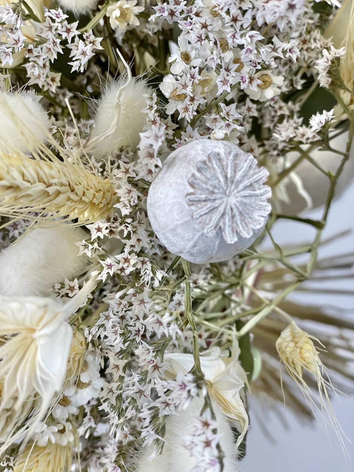 détail pavot blanc du bouquet sec jardin blanc