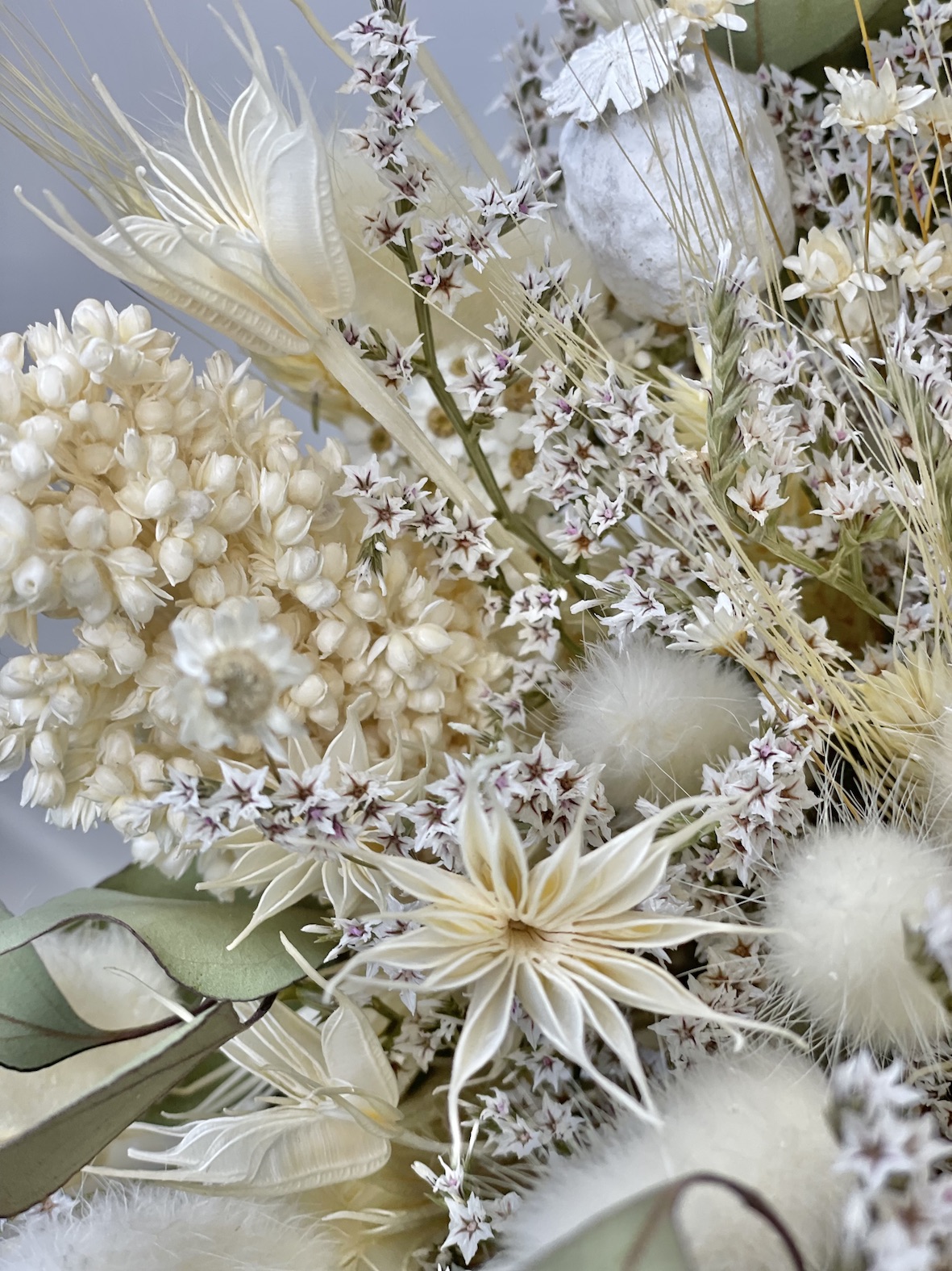 détail du millet et nigelle dans le bouquet sec jardin blanc