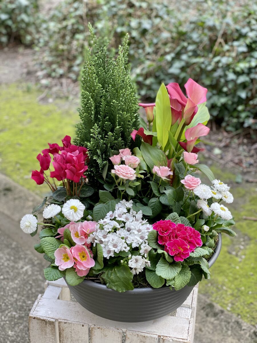 coupe de plante funérailles