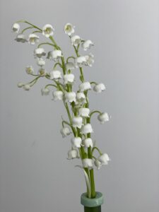 Muguet du 1er mai livraison lyon. Lot de 3 tiges de muguet