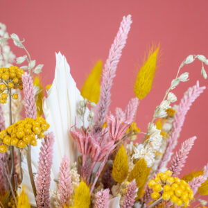 détails de fleurs séchées sur fond rose