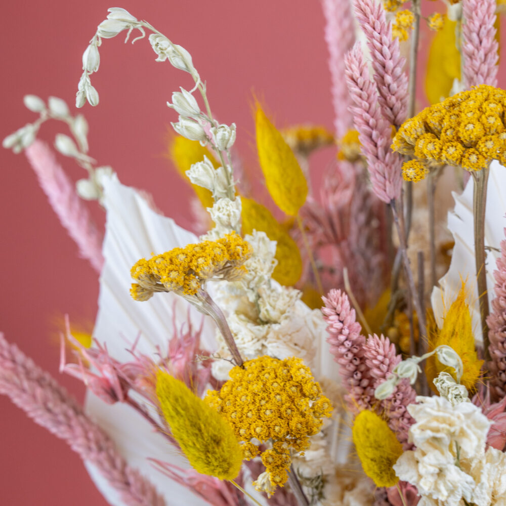 détails de fleurs séchées sur fond rose