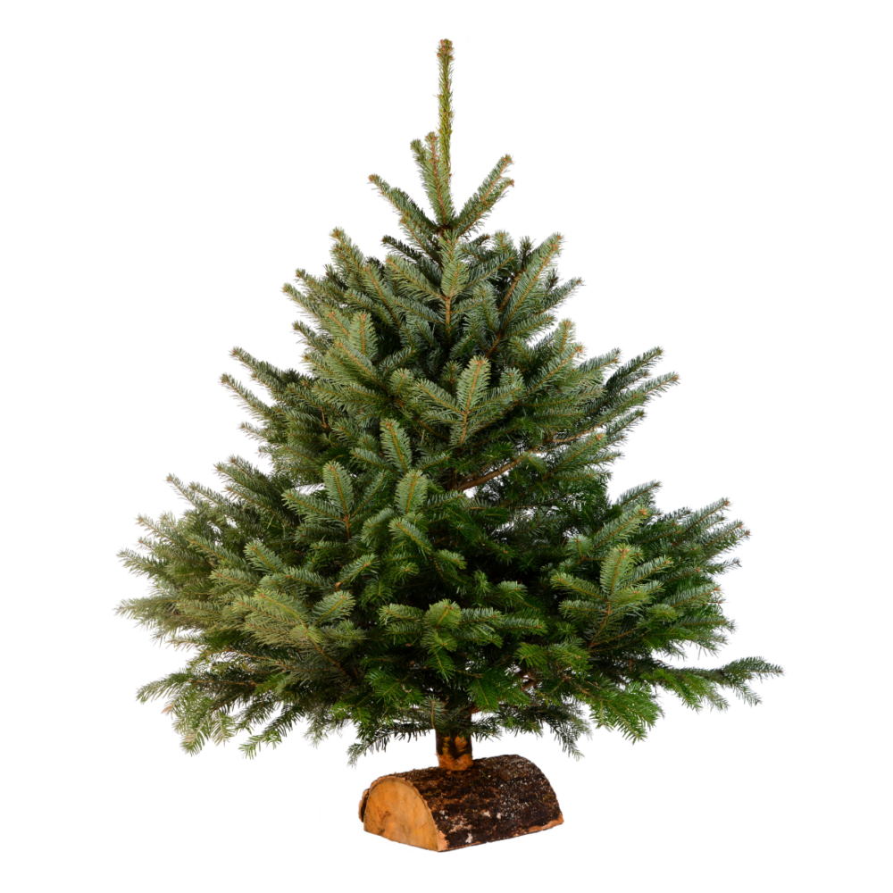 Sapin de Noël Nordmann naturel avec socle en bois, idéal pour la livraison à domicile à Lyon (69003, 69006, 69007)