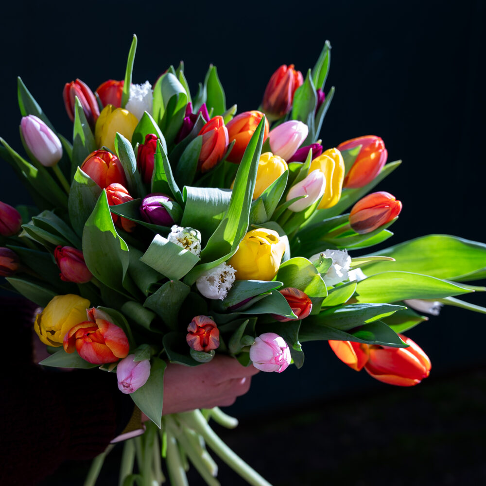 Bouquet du mois de février – Brassée de tulipes multicolores