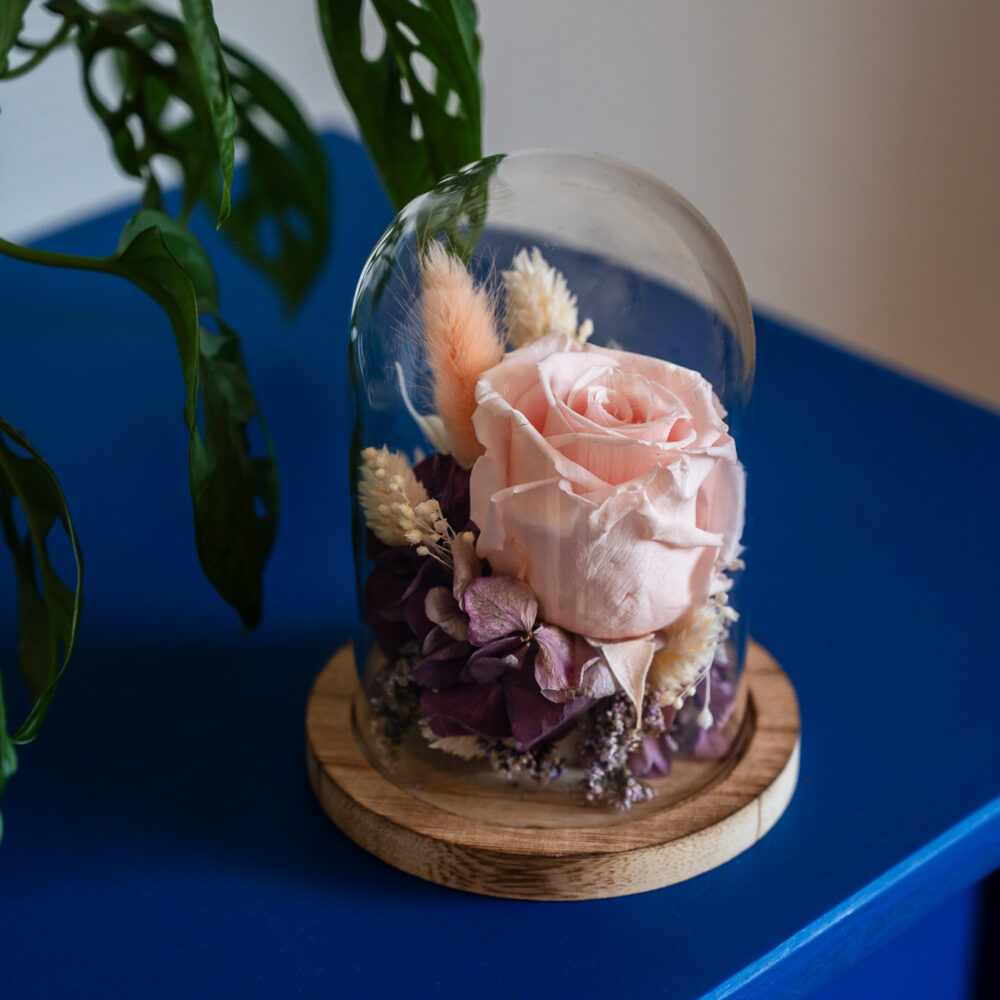 Cloche en verre avec rose stabilisée rose pâle et fleurs séchées aux tons violets sur base en bois, création artisanale Atelier Lavarenne Lyon